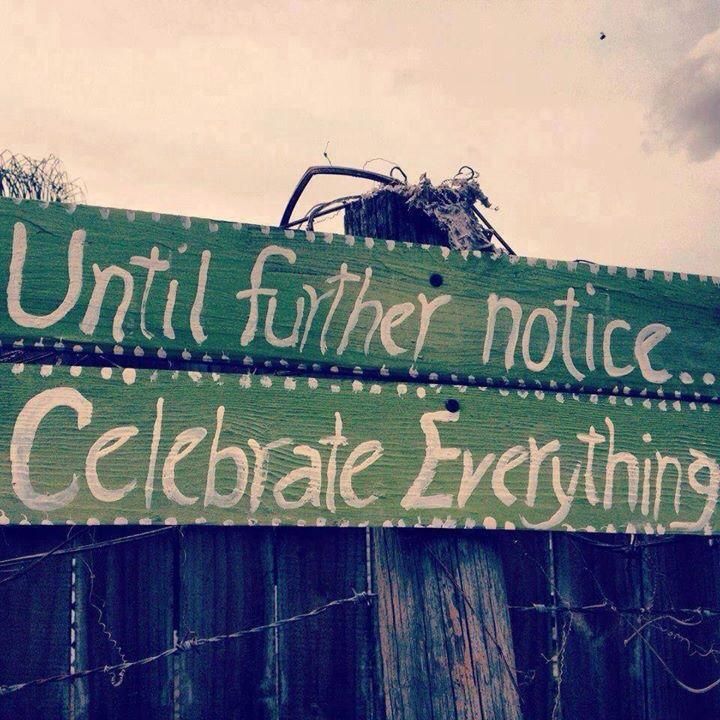Until Further Notice, Celebrate Everything Uncustomary